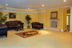 carpet floor 2